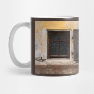 Window in Skofja Loka, Slovenia Mug